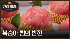 [선공개] 연매출 10억 빵집의 외면받던 빵? 복숭아 빵의 반전! MBN 260208 방송