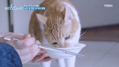 유혜리와 아가들의 식사 시간 그런데 식사가 끝나지 않는다..?? MBN 251222 방송