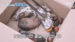 80대 잉꼬 부부가 노는 법? 고구마, 사랑 그리고 ○○○?? MBN 260209 방송