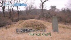 애타게 찾아 헤맨 우리 어머니.. 가장 보여주고 싶었던 미소를 선물한 배한성 MBN 260330 방송