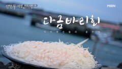 한 마리에 무려 240만 원… 제주 해산물의 끝판왕 생선인 이것?! MBN 260306 방송