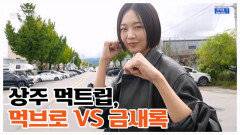 먹친구 금새록이 상주에 왔다!! 그런데… 이 먹트립 괜찮은 거지…? MBN 251114 방송