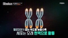 텔로미어를 지켜야 피부 노화 속도가 늦어진다 MBN 260208 방송