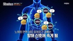 면역 세포의 노화, 암세포를 놓친다 MBN 260412 방송