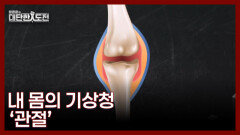 무릎 관절이 비 오는 날 아픈 이유는 기압 차 때문이다 MBN 260524 방송