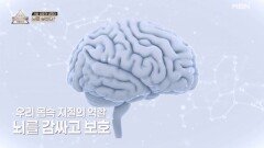 지질 성분의 균형이 뇌를 살린다?! MBN 260301 방송