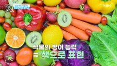 뇌졸중, 뇌종양의 위험 피할 수 있는 ○○색의 음식 드세요~ MBN 260124 방송