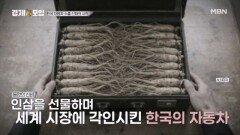 현대차의 해외 수출, ‘인삼’ 덕분에 가능했다? MBN 260131 방송