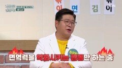 흔히 가진 이 습관이 면역력 증진을 방해한다? MBN 260426 방송