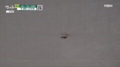 집 안에 많은 바퀴벌레 MBN 251129 방송
