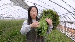 사계절 내내 꽃밭 역도에서 꽃으로 인생 2막을 시작한 꽃 농부 MBN 240414 방송