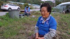 며느리의 든든한 뒷배, 일 대장 시어머니! MBN 251102 방송