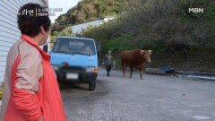  소만 챙기는 남편, 속만 끓는 아내  MBN 251109 방송