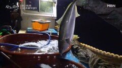 만선을 꿈꾸는 사나이, 겨울 바다의 선물은 방어!? MBN 260104 방송