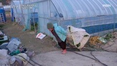 “남들 놀 때 놀면 일이 안 돌아가!” 백전노장 어머니의 뜨거운 인생 MBN 260419 방송