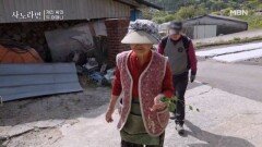 “아이고, 너는 이제 캐지 마!” 산나물 고수 어머니와 허당 아들 MBN 260524 방송