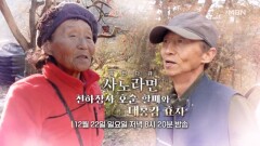 [668회] 천하장사 호순 할매와 대봉감 효자 MBN 241222 방송