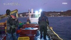 [선공개] 바다 사나이, ‘내조의 왕’이 되다 MBN 260104 방송