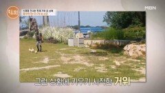할아버지를 살린 거위? 교복 입은 할아버지와 거위 5남매의 인연은? MBN 251023 방송 할아버지를 살린 거위? 교복 입은 할아버지와 거위 5남매의 인연은? MBN 251023 방송