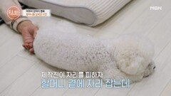 “불이 확 붙었어요” 아픈 할머니의 곁을 지키는 영배 MBN 251127 방송