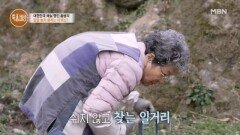 대한민국 매실 명인 홍쌍리, 그녀가 일을 놓지 못하는 이유는? MBN 260326 방송