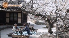 통증까지 참아가며 일하는 84세 홍쌍리를 향한 주변인들의 걱정 MBN 260326 방송