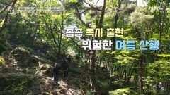 길 없고 험한 산속에서 하얀 다이아몬드 찾기 MBN 240726 방송