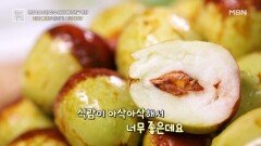 회춘 열매의 정체가 사과대추? MBN 241011 방송