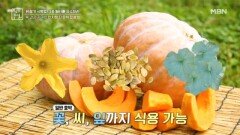 만차랑 단호박 활용법 MBN 241025 방송