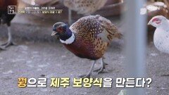 꿩으로 전통 보양식 만드는 방법은? MBN 241129 방송