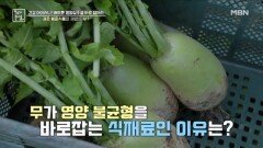 칼륨 채워 배부른 영양실조를 바로잡는 무 MBN 241213 방송