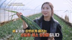 일타 삼파! 양대파 속의 비밀은? MBN 241220 방송