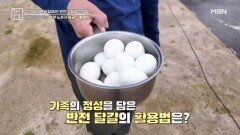 염증 관리 돕는 흰색 노른자 달걀의 활용법 MBN 251107 방송