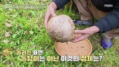 하나에 5천만 원, 귀한 복권 버섯의 정체는? MBN 251205 방송