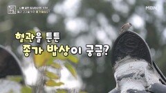 혈관 건강을 위한 종가 밥상 MBN 251212 방송