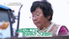 여성 건강에 도움 준 밥상의 비밀은? MBN 251212 방송