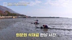 건강을 위한 암호 해독 식재료! 뻘배 타고 얻은 재료는? MBN 260102 방송