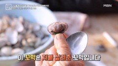 당뇨의 암호 해독법, 꼬막 MBN 260102 방송
