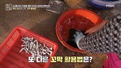 혈당 관리에 도움주는 꼬막의 다양한 활용법 MBN 260102 방송
