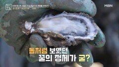 갯벌에서 찾은 바다 꿀의 정체는 굴! MBN 260116 방송