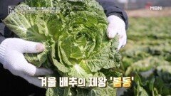 유방암을 이겨낸 한의사가 선택한 봄동 MBN 260213 방송