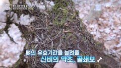 뼈의 수명을 늘려줄 골쇄보 MBN 260220 방송