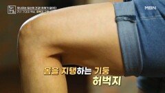 전신 건강의 핵심, 허벅지 근육 MBN 260306 방송