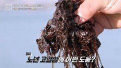 고혈압의 역습을 막을 비장의 무기를 찾아라 MBN 260313 방송