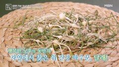 행복한 노년을 위한 위 건강 파수꾼 달래 MBN 260313 방송