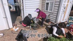 혈당 내려주는 유채 조리법 MBN 260410 방송