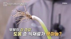 면역엔진, 간 건강에 도움 주는 풋마늘 MBN 260424 방송