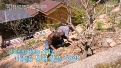 류머티즘 관절염에서 구출해준 영양소 아연 MBN 260508 방송