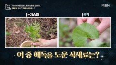 췌장암 3기를 물리친 해독 식재료는?! MBN 260515 방송