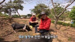 몸의 신호를 발견한 주인공의 시골 마을 라이프 MBN 260515 방송